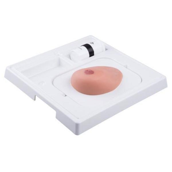 3B Scientific SONOtrain Breast model with cysts 1019634